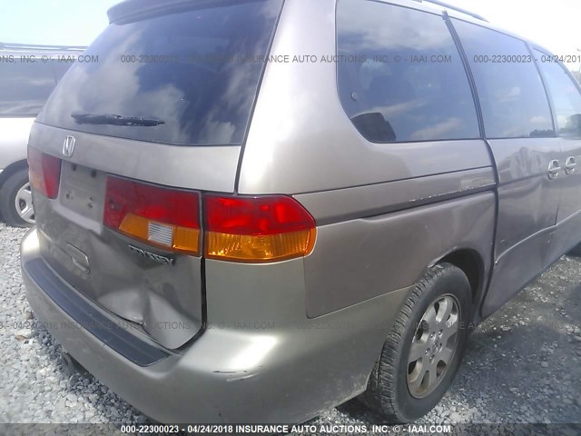 5FNRL18983B149513 - 2003 HONDA ODYSSEY EXL TAN photo 6