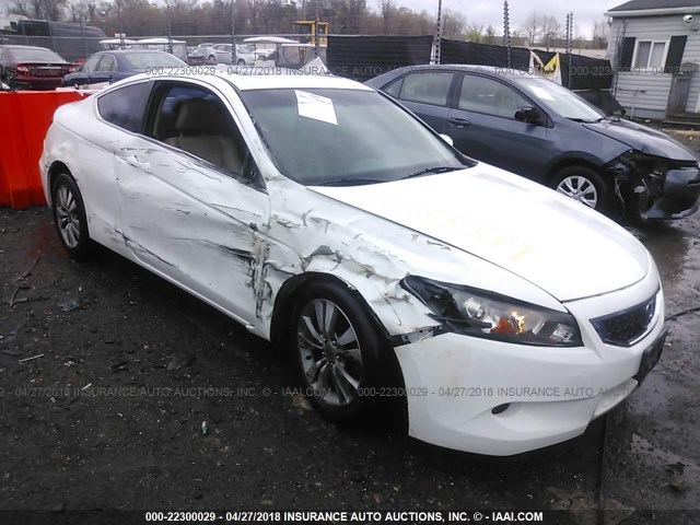 1HGCS1B84AA019146 - 2010 HONDA ACCORD EXL WHITE photo 1