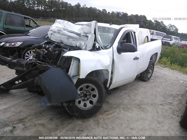 1GCEC14C48E119661 - 2008 CHEVROLET SILVERADO C1500 WHITE photo 2