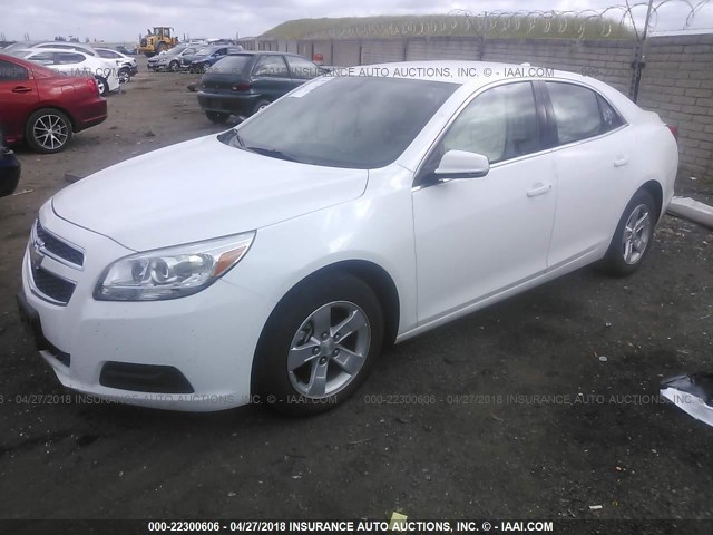1G11C5SA1DF308630 - 2013 CHEVROLET MALIBU 1LT 白色 照片 2