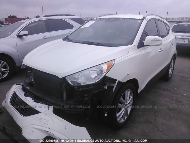 KM8JU3AC0AU061437 - 2010 HYUNDAI TUCSON GLS/LIMITED 白色 照片 2