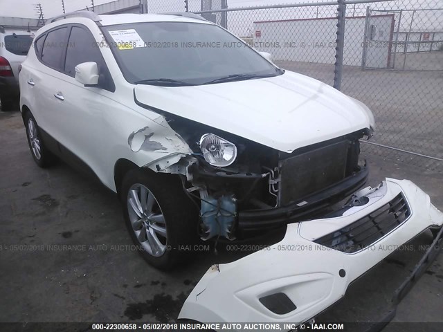 KM8JU3AC0AU061437 - 2010 HYUNDAI TUCSON GLS/LIMITED 白色 照片 6