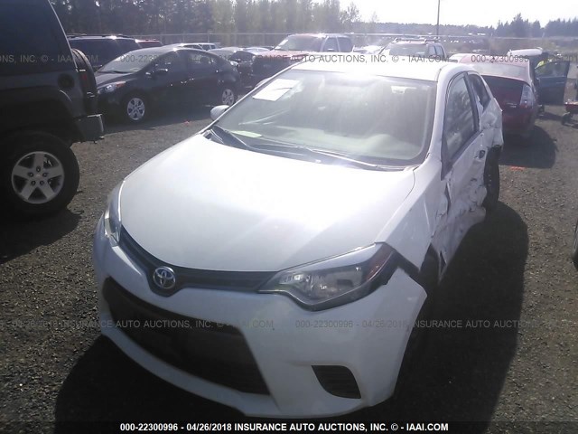 5YFBURHE2FP296557 - 2015 TOYOTA COROLLA L/LE/LE PLS/PRM/S/S PLS WHITE photo 2