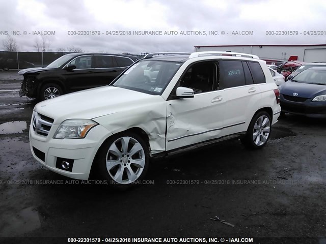 WDCGG8HB7AF262170 - 2010 MERCEDES-BENZ GLK 350 4MATIC WHITE photo 2