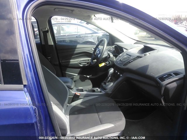 1FMCU0F72DUC22295 - 2013 FORD ESCAPE S BLUE photo 5