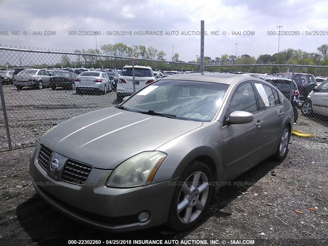 1N4BA41E75C827951 - 2005 NISSAN MAXIMA SE/SL GOLD photo 2