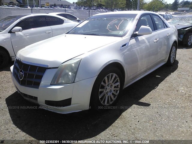 1G6DA5EY6B0167379 - 2011 CADILLAC CTS WHITE photo 2
