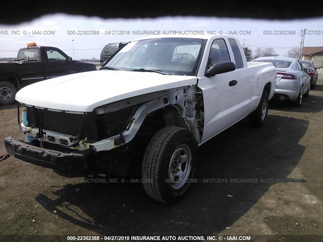 1D7RE2BK8BS638464 - 2011 DODGE DAKOTA ST WHITE photo 2