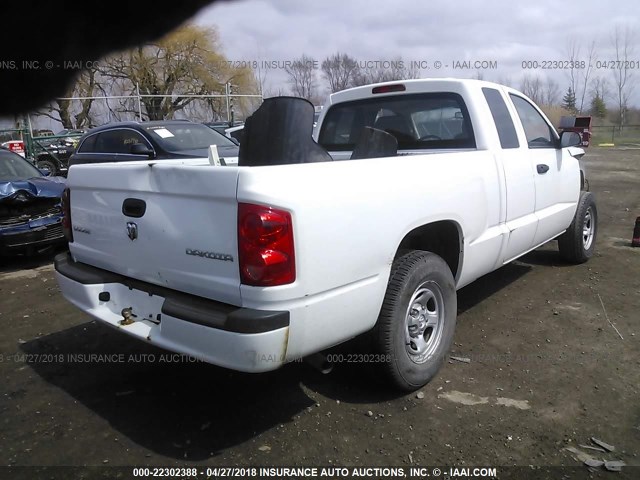 1D7RE2BK8BS638464 - 2011 DODGE DAKOTA ST WHITE photo 4