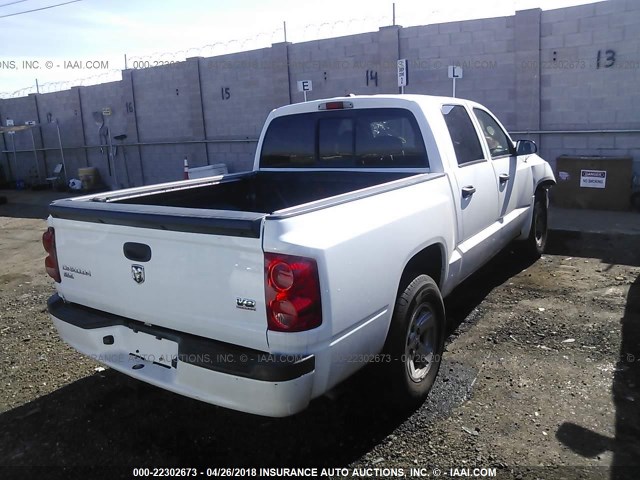 1D7HE48NX8S560304 - 2008 DODGE DAKOTA QUAD SLT WHITE photo 4