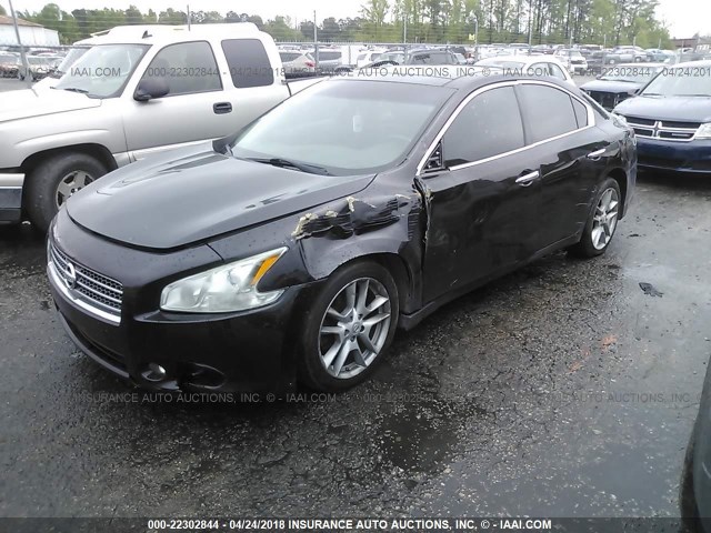 1N4AA5AP4BC815075 - 2011 NISSAN MAXIMA S/SV BLACK photo 2