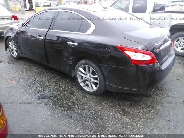 1N4AA5AP4BC815075 - 2011 NISSAN MAXIMA S/SV BLACK photo 3