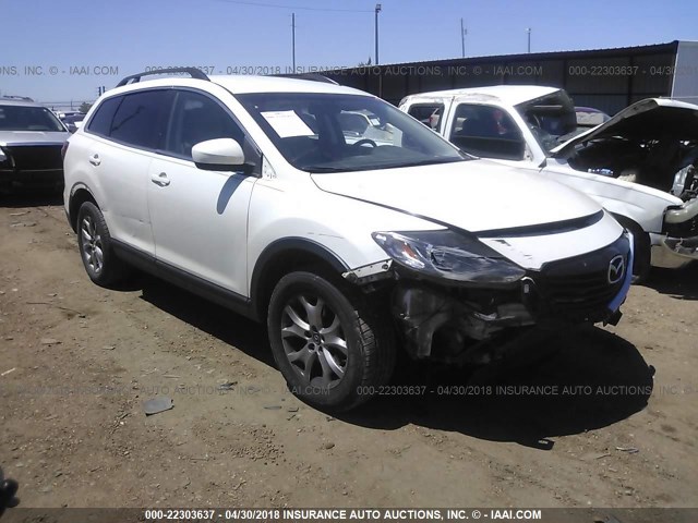 JM3TB2BA2F0452248 - 2015 MAZDA CX-9 SPORT WHITE photo 1