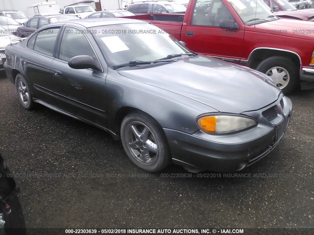 1G2NF52E04M672461 - 2004 PONTIAC GRAND AM SE1 GRAY photo 1