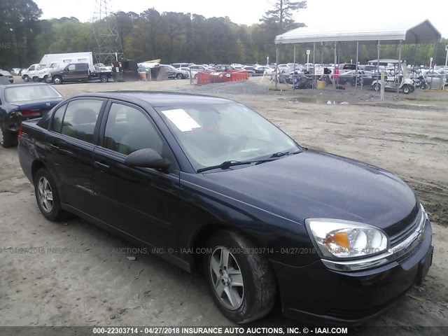 1G1ZT52825F175801 - 2005 CHEVROLET MALIBU LS ლურჯი ფოტო 1