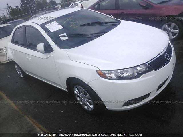 KNAFU4A21C5604408 - 2012 KIA FORTE EX WHITE photo 1