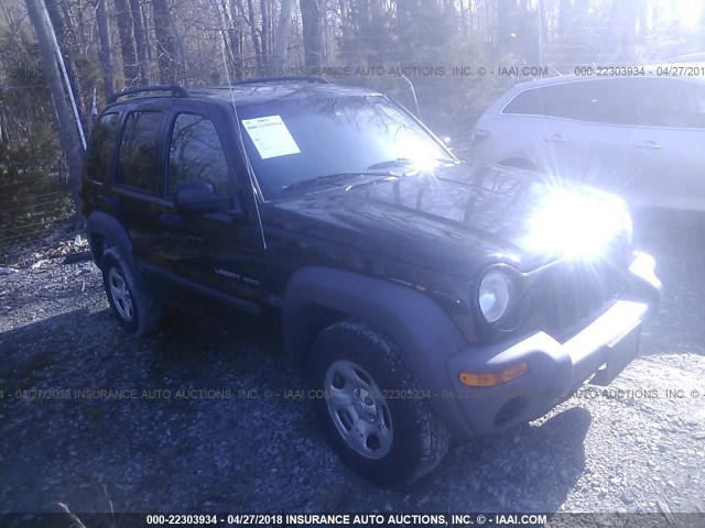 1J4GL48K93W675957 - 2003 JEEP LIBERTY SPORT/FREEDOM შავი ფოტო 1