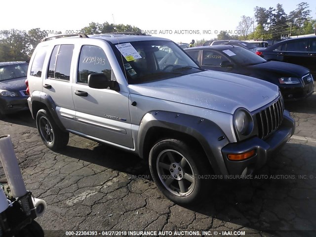1J4GL48K83W693480 - 2003 JEEP LIBERTY SPORT/FREEDOM ვერცხლისფერი ფოტო 1