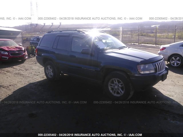 1J4GW48S54C411130 - 2004 JEEP GRAND CHEROKEE LAREDO/COLUMBIA/FREEDOM 绿色 照片 1