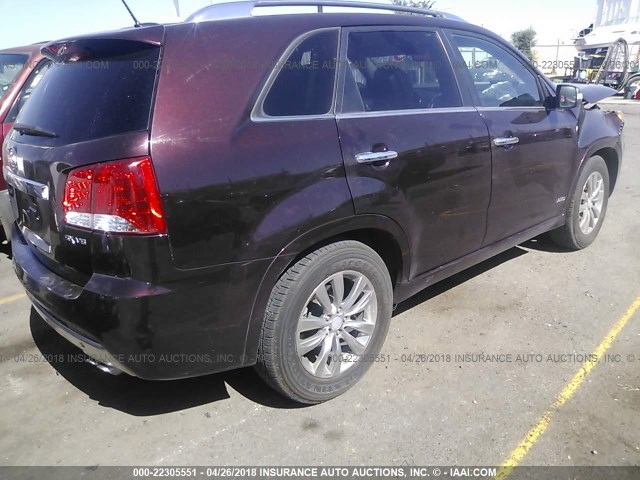 5XYKWDA20BG117010 - 2011 KIA SORENTO SX MAROON photo 4