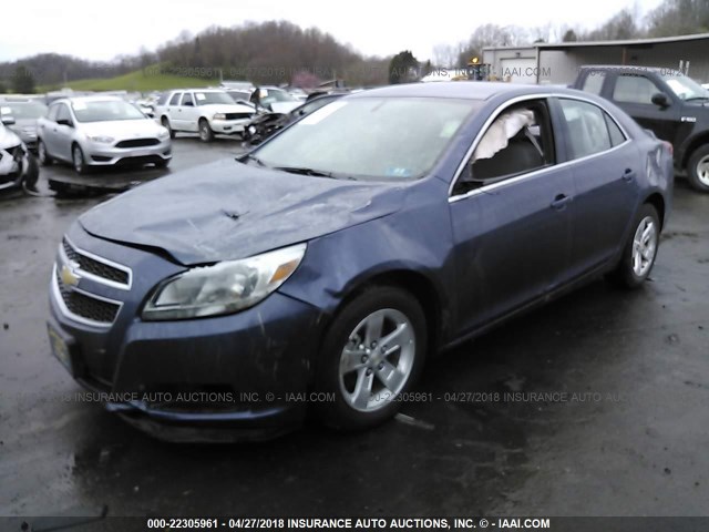 1G11B5SA3DF355788 - 2013 CHEVROLET MALIBU LS 蓝色 照片 2