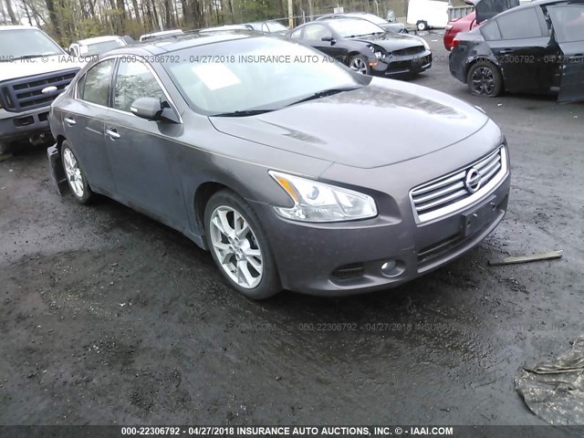 1N4AA5AP0DC816792 - 2013 NISSAN MAXIMA S/SV GRAY photo 1