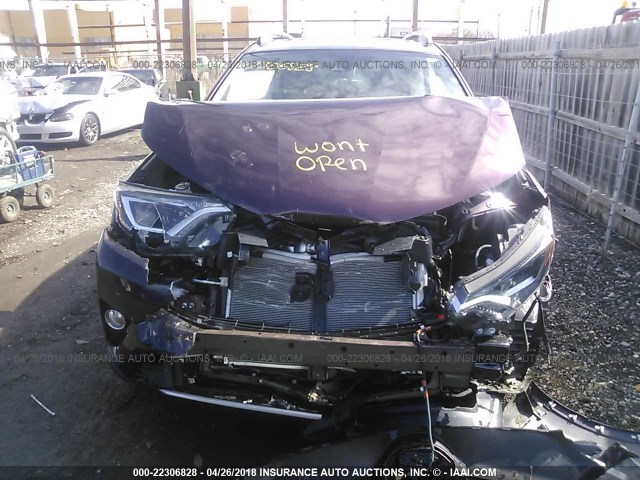 2T3RFREV6HW686485 - 2017 TOYOTA RAV4 XLE PURPLE photo 10