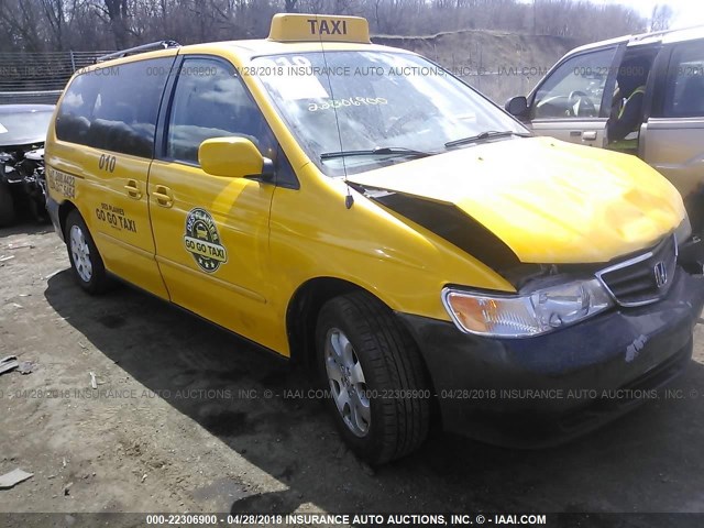 5FNRL18754B136394 - 2004 HONDA ODYSSEY EXL ყვითელი ფოტო 1