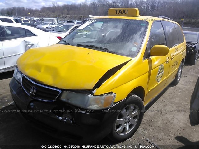 5FNRL18754B136394 - 2004 HONDA ODYSSEY EXL YELLOW photo 2