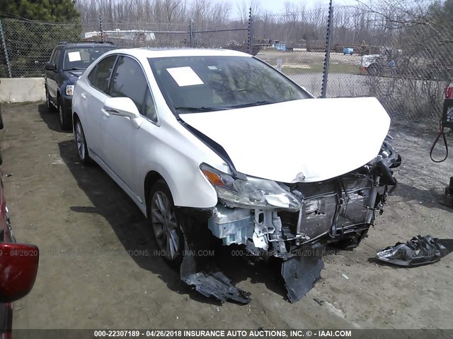 JTHBB1BAXA2006746 - 2010 LEXUS HS 250H WHITE photo 1