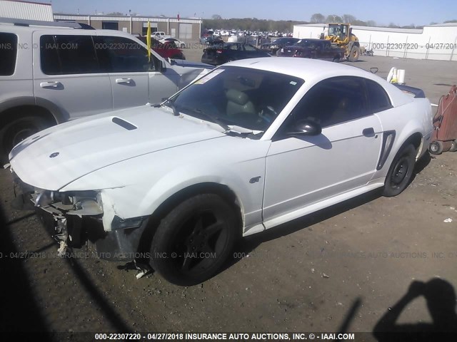 1FAFP42X2YF165280 - 2000 FORD MUSTANG GT WHITE photo 2
