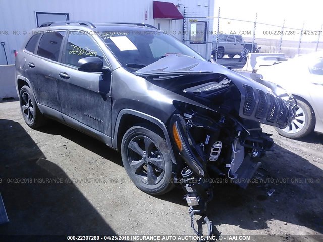 1C4PJMCB9JD526492 - 2018 JEEP CHEROKEE LATITUDE Boz foto 1