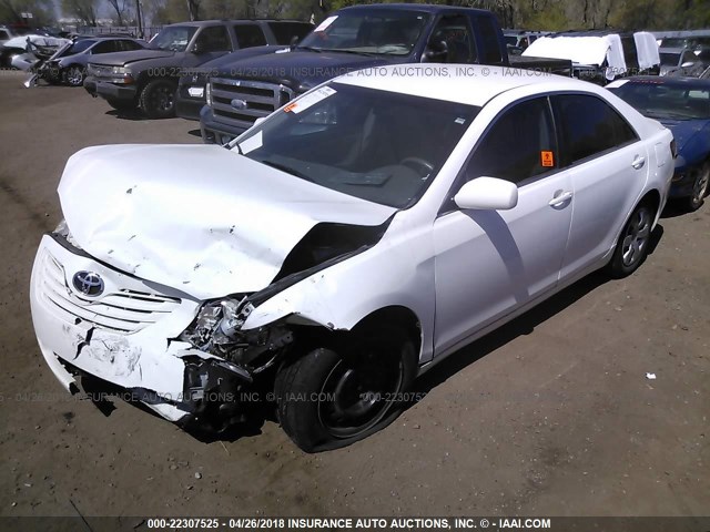 4T1BE46K68U750982 - 2008 TOYOTA CAMRY CE/LE/XLE/SE WHITE photo 2