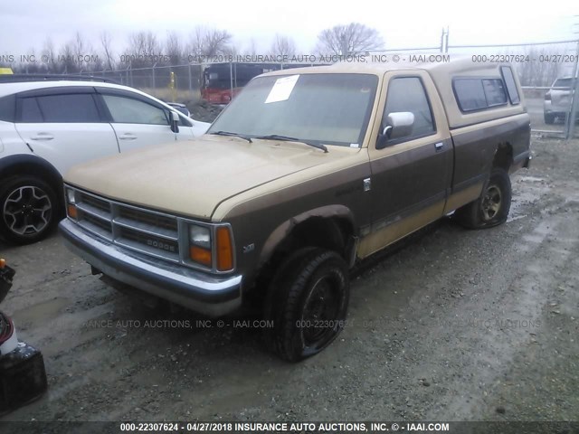 1B7GR14M6HS458200 - 1987 DODGE DAKOTA TAN photo 2