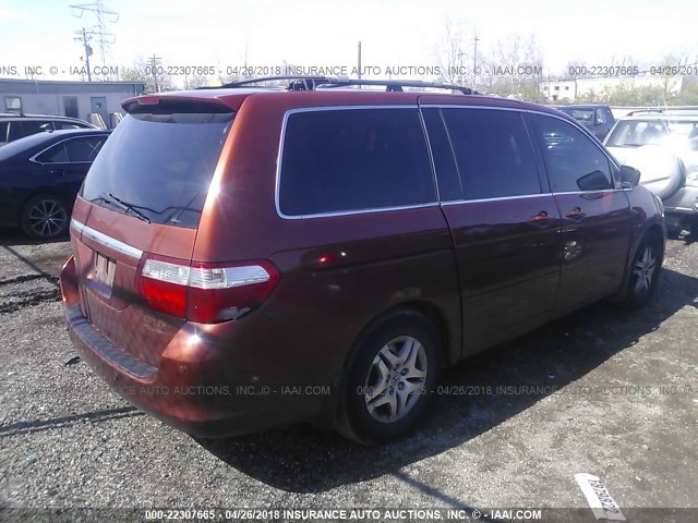 5FNRL38865B002757 - 2005 HONDA ODYSSEY TOURING ORANGE photo 4