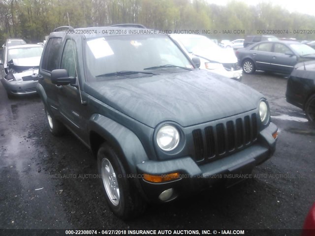 1J4GL58KX3W661250 - 2003 JEEP LIBERTY LIMITED GREEN photo 1