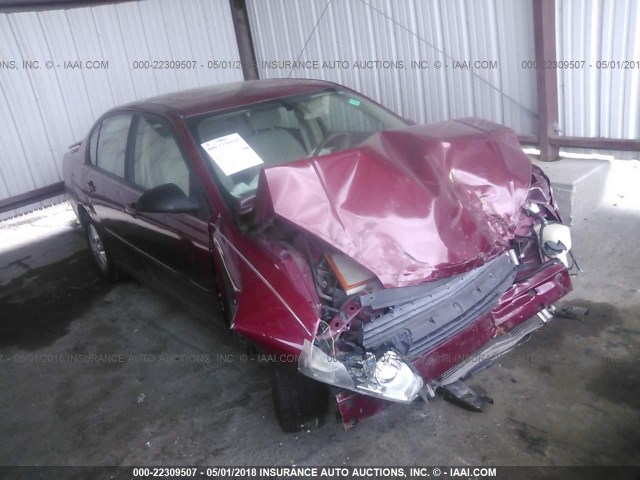 1G1ZT54815F206162 - 2005 CHEVROLET MALIBU LS მუქწითელი ფოტო 1