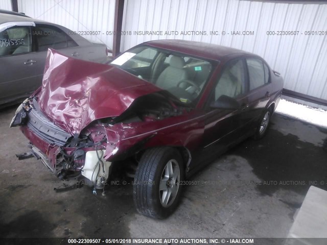 1G1ZT54815F206162 - 2005 CHEVROLET MALIBU LS მუქწითელი ფოტო 2