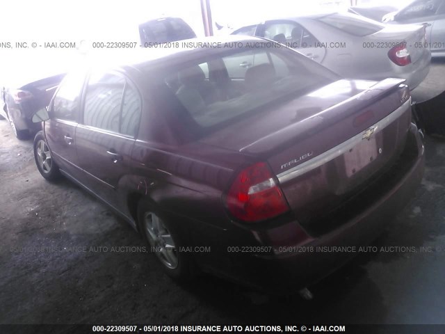 1G1ZT54815F206162 - 2005 CHEVROLET MALIBU LS მუქწითელი ფოტო 3