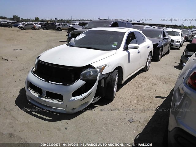 1N4AA51E39C810460 - 2009 NISSAN MAXIMA S/SV WHITE photo 2