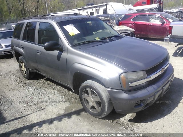 1GNDS13SX62128586 - 2006 CHEVROLET TRAILBLAZER LS/LT SILVER photo 1