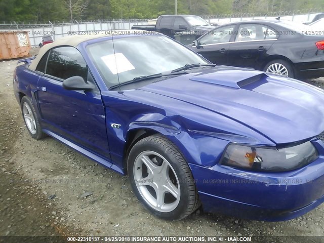 1FAFP45X73F412040 - 2003 FORD MUSTANG GT BLUE photo 6