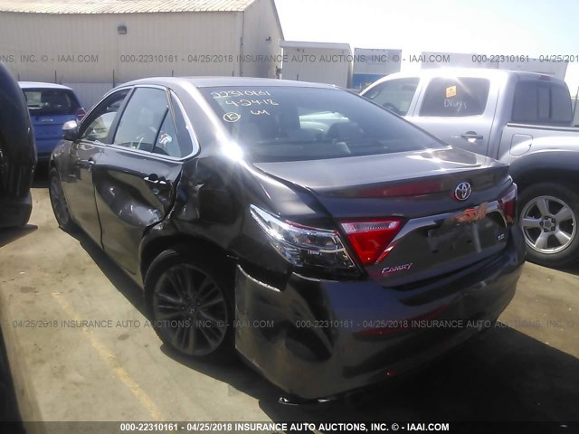 4T1BF1FK9HU411239 - 2017 TOYOTA CAMRY LE/XLE/SE/XSE GRAY photo 3