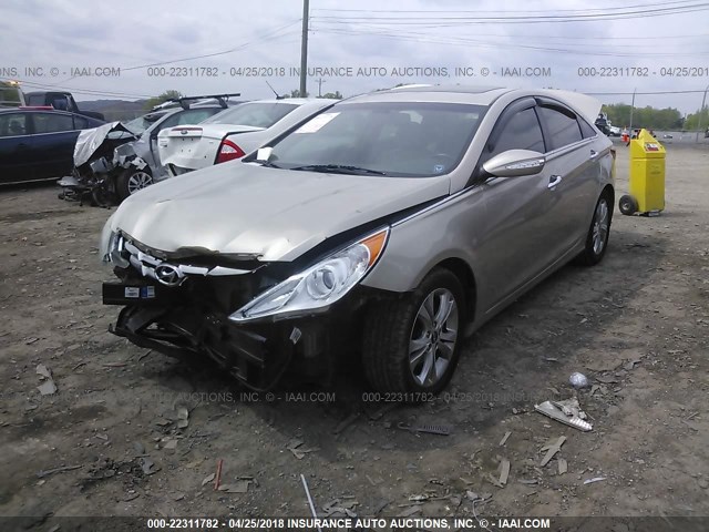 5NPEC4AC0BH047645 - 2011 HYUNDAI SONATA SE/LIMITED GOLD photo 2