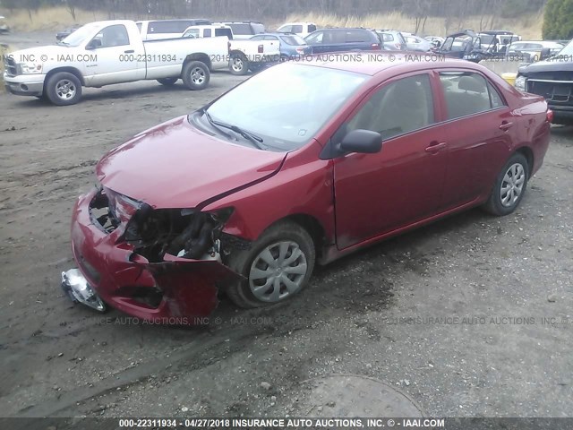 JTDBL40E199071607 - 2009 TOYOTA COROLLA LE/XLE RED photo 2