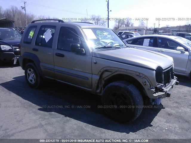 1J4GL48K33W572467 - 2003 JEEP LIBERTY SPORT/FREEDOM GREEN photo 1