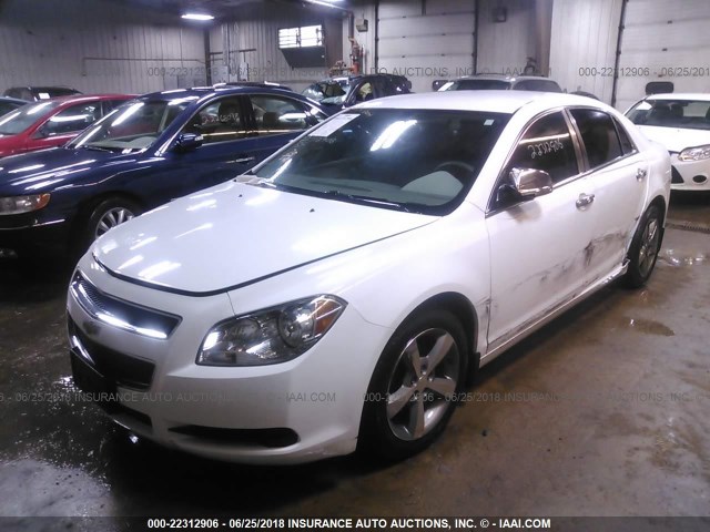 1G1ZB5E11BF356661 - 2011 CHEVROLET MALIBU LS 白色 照片 2