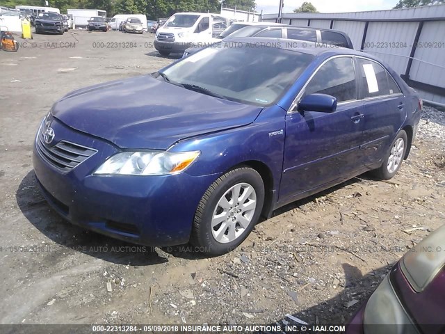 4T1BB46K09U104668 - 2009 TOYOTA CAMRY HYBRID BLUE photo 2