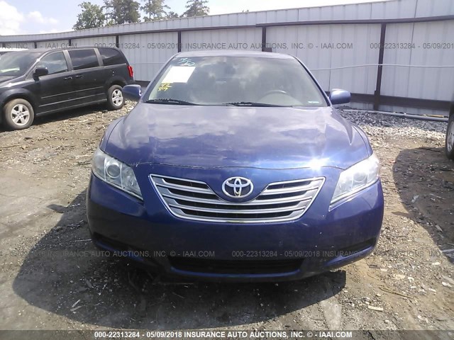 4T1BB46K09U104668 - 2009 TOYOTA CAMRY HYBRID BLUE photo 6