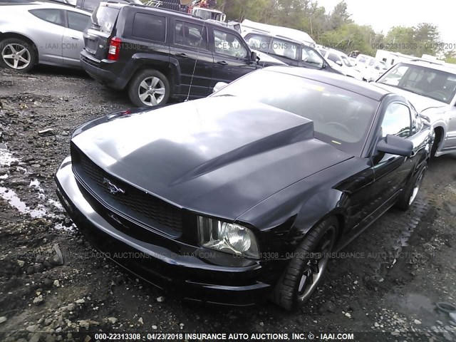 1ZVFT80N555158627 - 2005 FORD MUSTANG BLACK photo 2